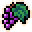 Grape